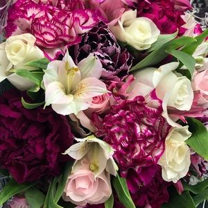 Meet your Posher, Angel